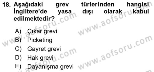 Sendikacılık Dersi 2018 - 2019 Yılı 3 Ders Sınav Soruları 18. Soru