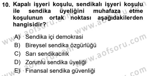 Sendikacılık Dersi 2018 - 2019 Yılı (Vize) Ara Sınav Soruları 10. Soru