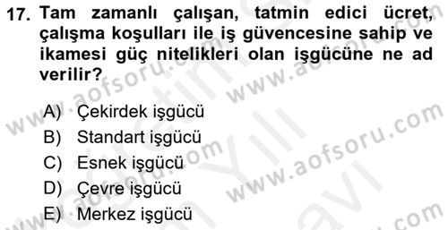 Sendikacılık Dersi 2018 - 2019 Yılı (Vize) Ara Sınav Soruları 17. Soru