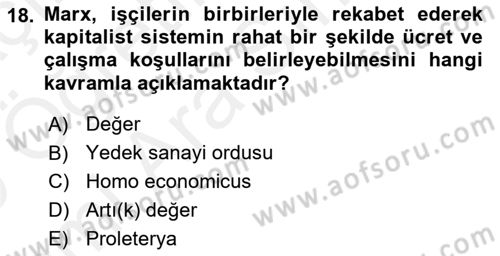 Sendikacılık Dersi 2018 - 2019 Yılı (Vize) Ara Sınav Soruları 18. Soru