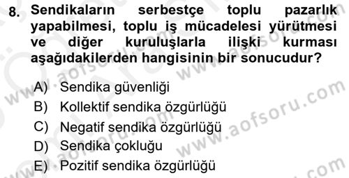 Sendikacılık Dersi 2018 - 2019 Yılı (Vize) Ara Sınav Soruları 8. Soru