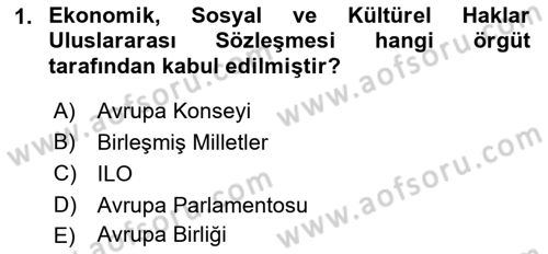 Sendikacılık Dersi 2018 - 2019 Yılı (Final) Dönem Sonu Sınav Soruları 1. Soru