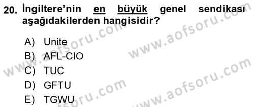 Sendikacılık Dersi 2018 - 2019 Yılı (Final) Dönem Sonu Sınav Soruları 20. Soru
