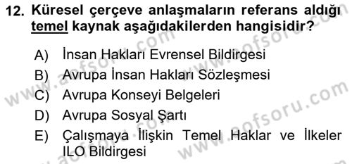 Sendikacılık Dersi 2018 - 2019 Yılı Yaz Okulu Sınav Soruları 12. Soru
