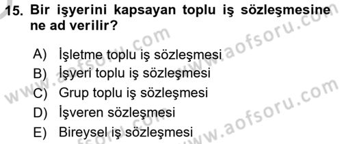 Sendikacılık Dersi 2018 - 2019 Yılı Yaz Okulu Sınav Soruları 15. Soru