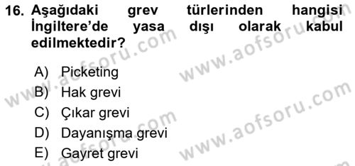 Sendikacılık Dersi 2018 - 2019 Yılı Yaz Okulu Sınav Soruları 16. Soru