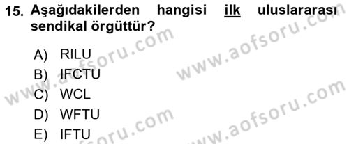Sendikacılık Dersi 2020 - 2021 Yılı Yaz Okulu Sınav Soruları 15. Soru
