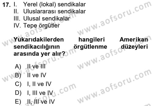 Sendikacılık Dersi 2020 - 2021 Yılı Yaz Okulu Sınav Soruları 17. Soru