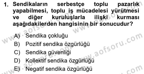 Sendikacılık Dersi 2021 - 2022 Yılı (Vize) Ara Sınav Soruları 1. Soru