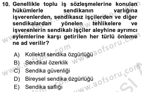 Sendikacılık Dersi 2021 - 2022 Yılı (Vize) Ara Sınav Soruları 10. Soru