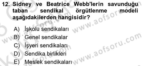 Sendikacılık Dersi 2022 - 2023 Yılı Yaz Okulu Sınav Soruları 12. Soru