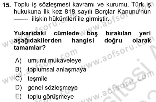 Sendikacılık Dersi 2022 - 2023 Yılı Yaz Okulu Sınav Soruları 15. Soru