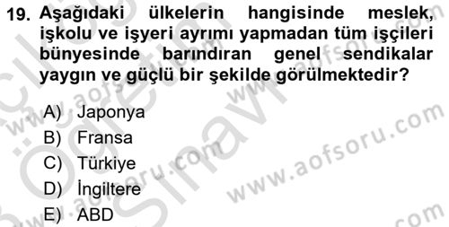 Sendikacılık Dersi 2022 - 2023 Yılı Yaz Okulu Sınav Soruları 19. Soru
