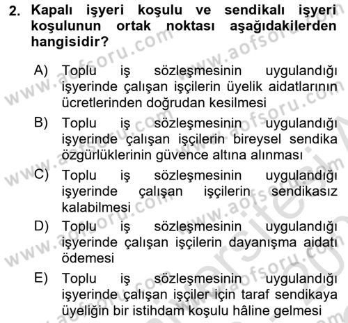 Sendikacılık Dersi 2022 - 2023 Yılı Yaz Okulu Sınav Soruları 2. Soru