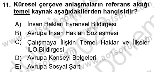 Sendikacılık Dersi 2023 - 2024 Yılı (Final) Dönem Sonu Sınav Soruları 11. Soru