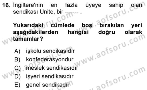 Sendikacılık Dersi 2023 - 2024 Yılı (Final) Dönem Sonu Sınav Soruları 16. Soru