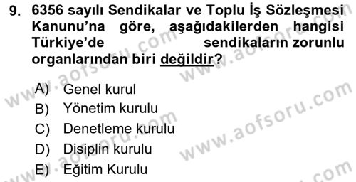 Sendikacılık Dersi 2023 - 2024 Yılı (Final) Dönem Sonu Sınav Soruları 9. Soru