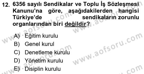 Sendikacılık Dersi 2023 - 2024 Yılı Yaz Okulu Sınav Soruları 12. Soru