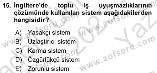 Sendikacılık Dersi 2023 - 2024 Yılı Yaz Okulu Sınav Soruları 15. Soru