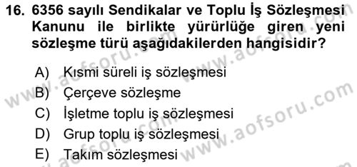 Sendikacılık Dersi 2023 - 2024 Yılı Yaz Okulu Sınav Soruları 16. Soru