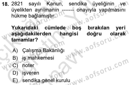 Sendikacılık Dersi 2023 - 2024 Yılı Yaz Okulu Sınav Soruları 18. Soru