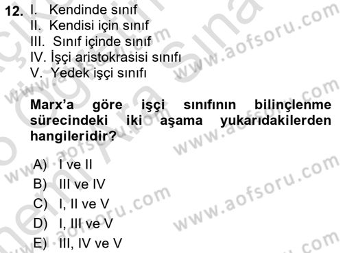 Sendikacılık Dersi 2024 - 2025 Yılı (Vize) Ara Sınav Soruları 12. Soru