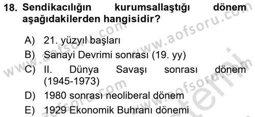 Sendikacılık Dersi 2024 - 2025 Yılı (Vize) Ara Sınav Soruları 18. Soru