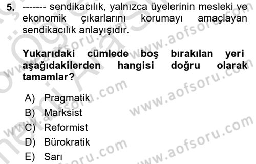 Sendikacılık Dersi 2024 - 2025 Yılı (Vize) Ara Sınav Soruları 5. Soru
