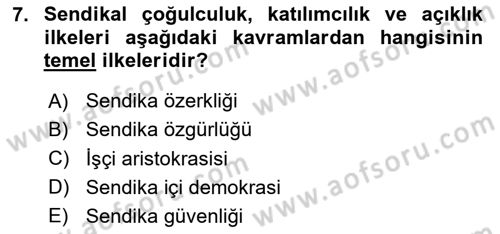 Sendikacılık Dersi 2024 - 2025 Yılı (Final) Dönem Sonu Sınav Soruları 7. Soru