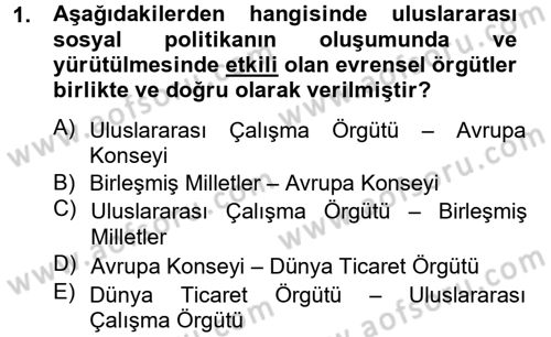 Uluslararası Sosyal Politika Dersi 2012 - 2013 Yılı (Vize) Ara Sınav Soruları 1. Soru