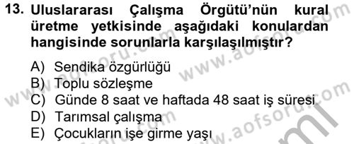 Uluslararası Sosyal Politika Dersi 2012 - 2013 Yılı (Vize) Ara Sınav Soruları 13. Soru