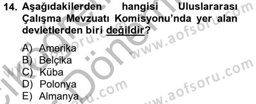 Uluslararası Sosyal Politika Dersi 2012 - 2013 Yılı (Vize) Ara Sınav Soruları 14. Soru