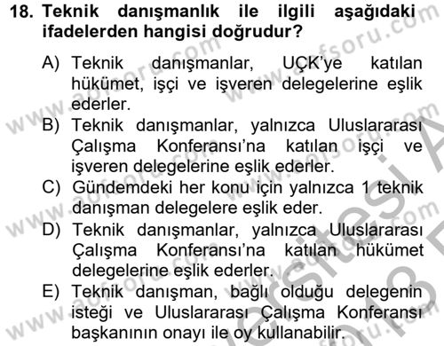 Uluslararası Sosyal Politika Dersi 2012 - 2013 Yılı (Vize) Ara Sınav Soruları 18. Soru