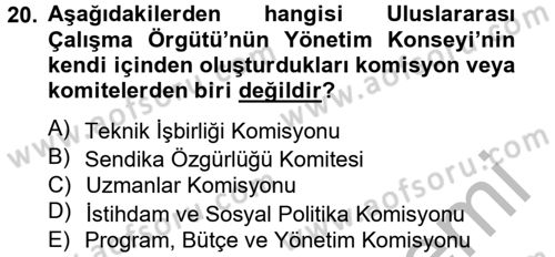 Uluslararası Sosyal Politika Dersi 2012 - 2013 Yılı (Vize) Ara Sınav Soruları 20. Soru