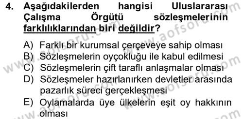 Uluslararası Sosyal Politika Dersi 2012 - 2013 Yılı (Vize) Ara Sınav Soruları 4. Soru