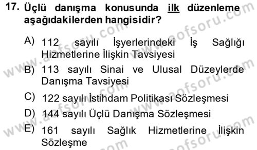 Uluslararası Sosyal Politika Dersi 2013 - 2014 Yılı (Vize) Ara Sınavı 17. Soru