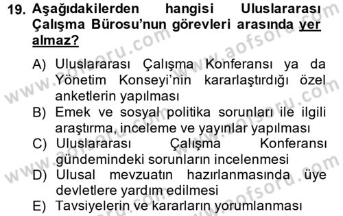 Uluslararası Sosyal Politika Dersi 2013 - 2014 Yılı (Vize) Ara Sınavı 19. Soru