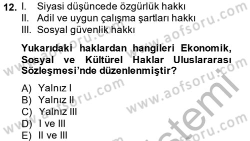 Uluslararası Sosyal Politika Dersi 2013 - 2014 Yılı (Final) Dönem Sonu Sınav Soruları 12. Soru