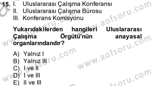 Uluslararası Sosyal Politika Dersi 2014 - 2015 Yılı (Vize) Ara Sınav Soruları 15. Soru
