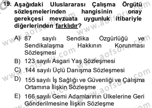 Uluslararası Sosyal Politika Dersi 2014 - 2015 Yılı (Final) Dönem Sonu Sınavı 19. Soru