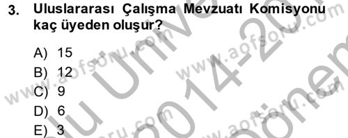 Uluslararası Sosyal Politika Dersi 2014 - 2015 Yılı (Final) Dönem Sonu Sınav Soruları 3. Soru