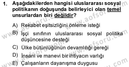 Uluslararası Sosyal Politika Dersi 2014 - 2015 Yılı Tek Ders Sınav Soruları 1. Soru
