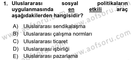 Uluslararası Sosyal Politika Dersi 2015 - 2016 Yılı (Vize) Ara Sınavı 1. Soru