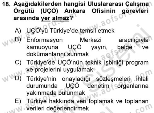 Uluslararası Sosyal Politika Dersi 2015 - 2016 Yılı (Final) Dönem Sonu Sınav Soruları 18. Soru