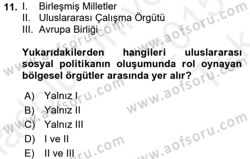 Uluslararası Sosyal Politika Dersi 2015 - 2016 Yılı Tek Ders Sınavı 11. Soru