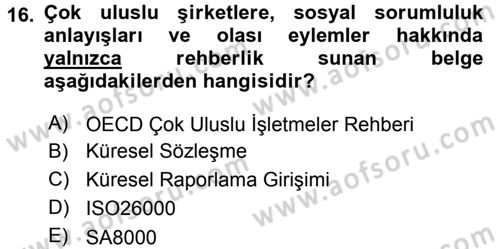 Uluslararası Sosyal Politika Dersi 2015 - 2016 Yılı Tek Ders Sınav Soruları 16. Soru