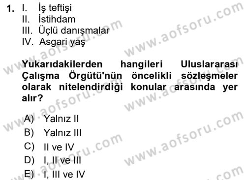 Uluslararası Sosyal Politika Dersi 2016 - 2017 Yılı 3 Ders Sınav Soruları 1. Soru
