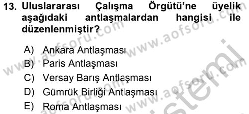 Uluslararası Sosyal Politika Dersi 2016 - 2017 Yılı 3 Ders Sınav Soruları 13. Soru
