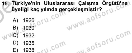 Uluslararası Sosyal Politika Dersi 2016 - 2017 Yılı 3 Ders Sınav Soruları 15. Soru