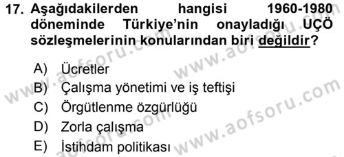 Uluslararası Sosyal Politika Dersi 2016 - 2017 Yılı 3 Ders Sınav Soruları 17. Soru